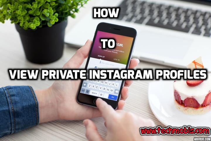 private instagram viewer without verification